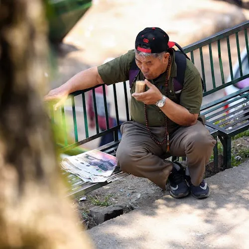 Lý Thị Lan avatar